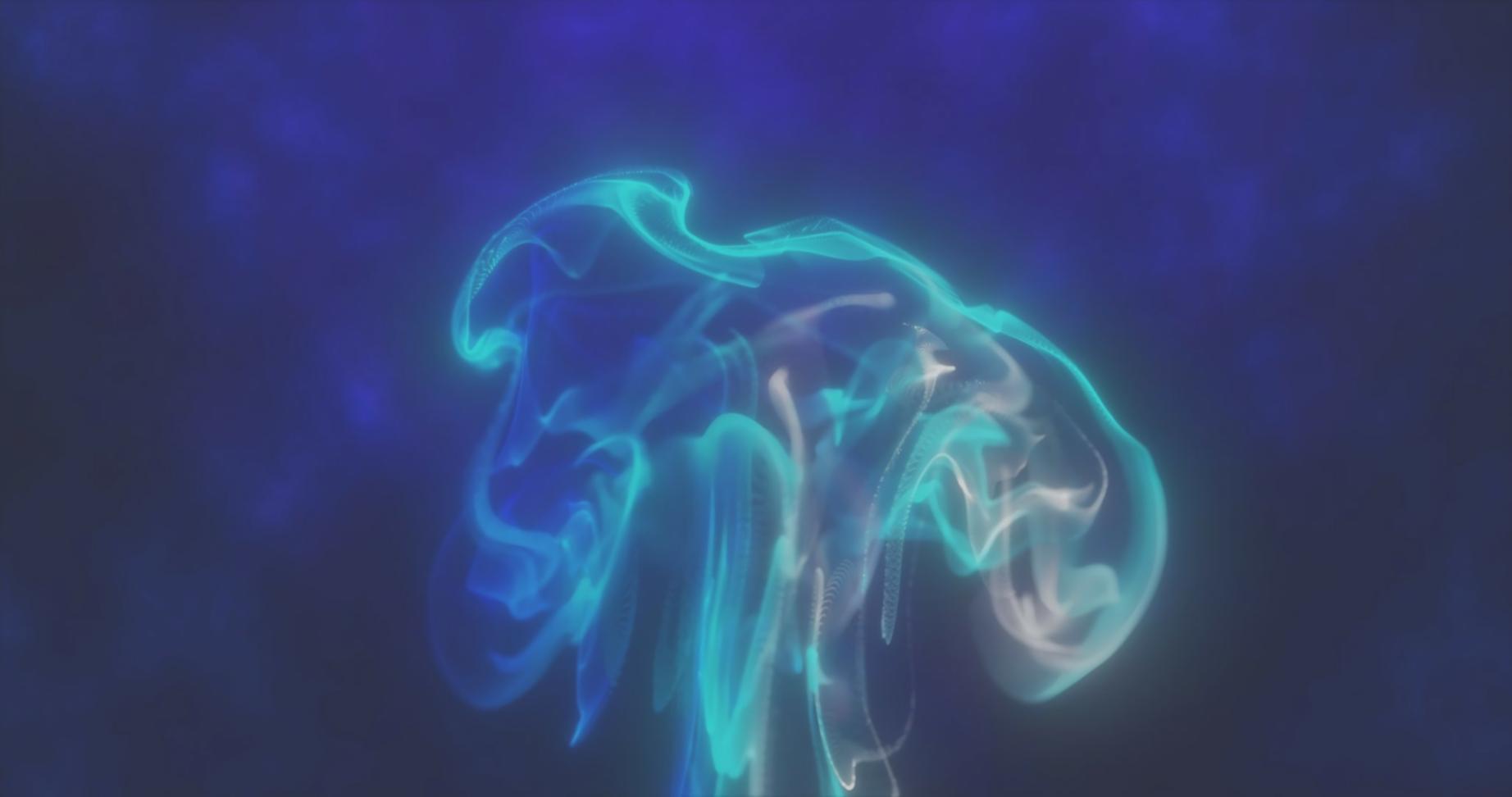 Écran d'ordinateur affichant du code Python pour un modèle de scoring avec des graphiques de performance