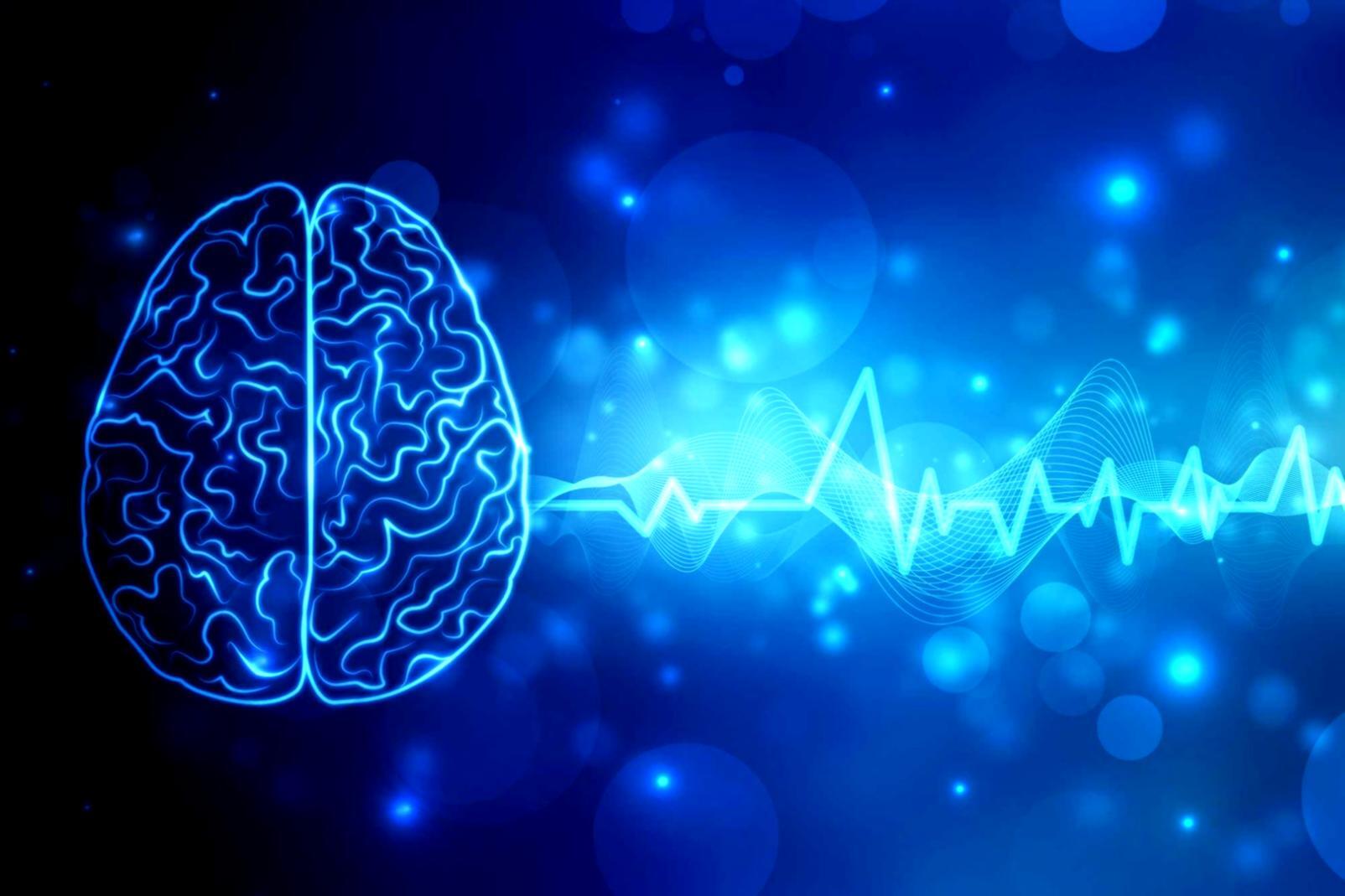 Analyse de données financières sur écran